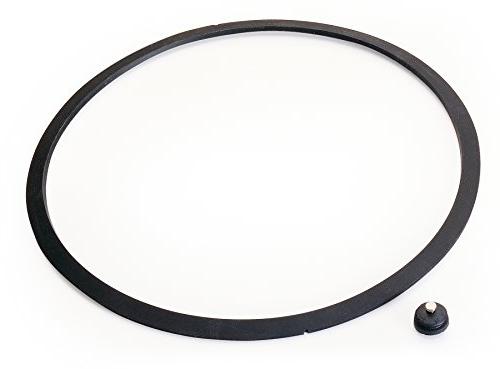 Sealing Ring And Automatic Air Vent